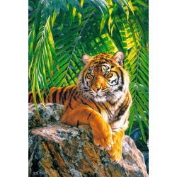 Tygrysica sumatrzańska