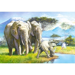 Rodzina słonia