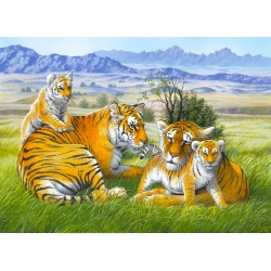 Rodzina tygrysa