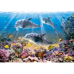 Delfiny pod wodą